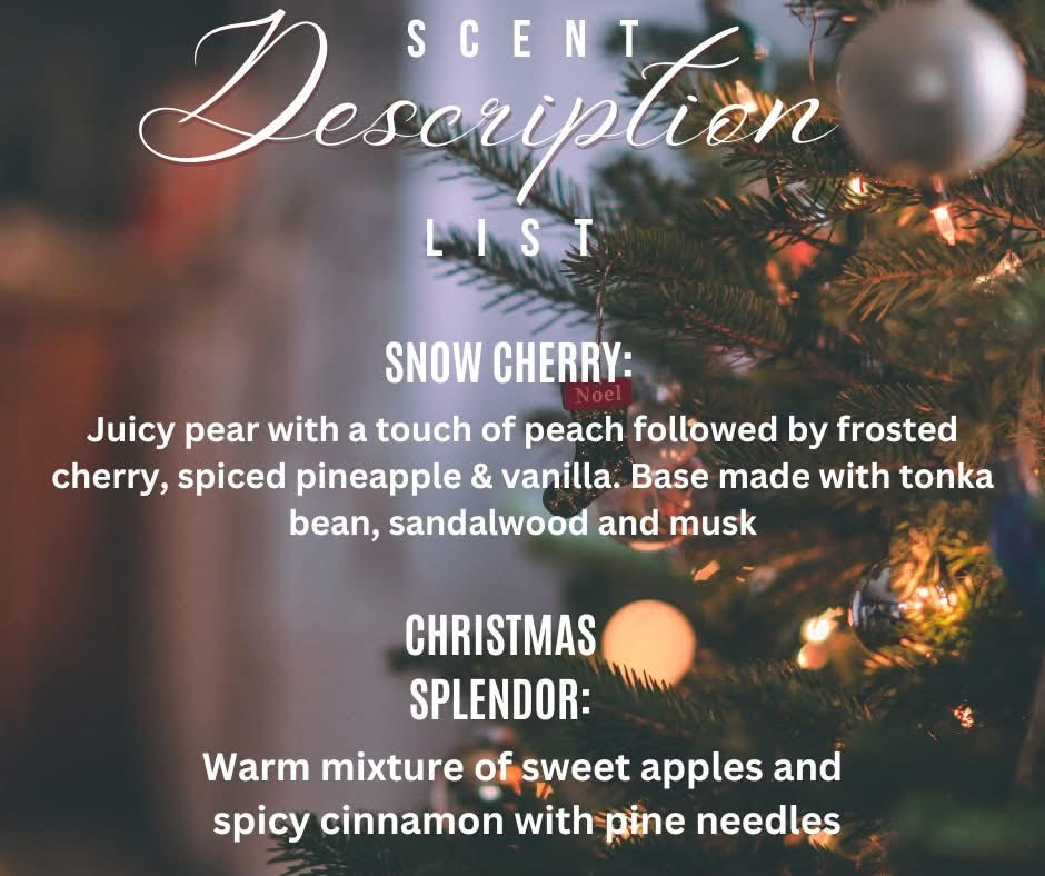 Christmas Splendor Laundry Booster & Multipurpose Cleaner