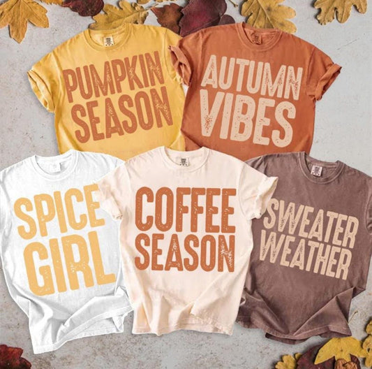 Cozy season Tees - WS (Copy)