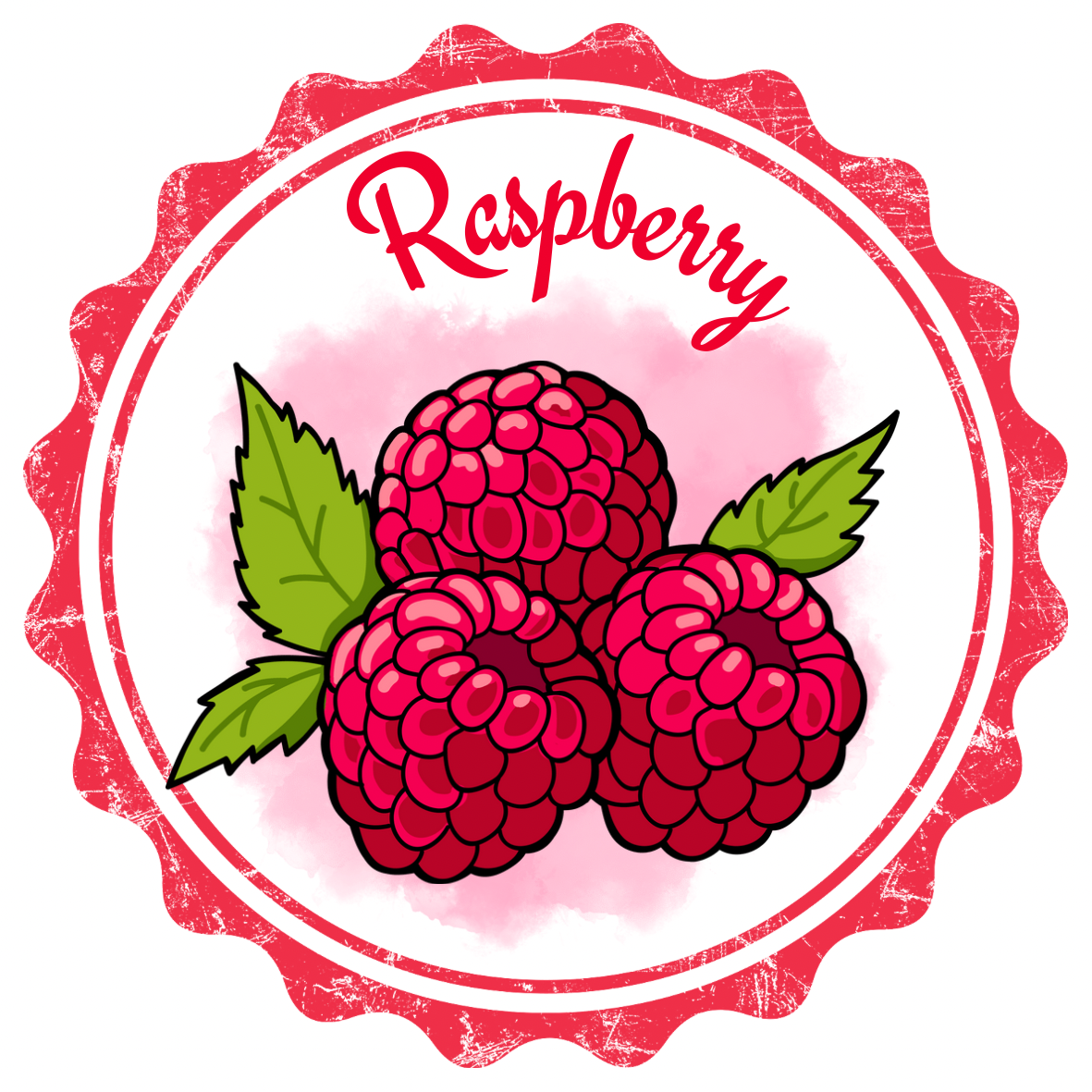 *PRE-ORDER* Raspberry Hand Sanitizer Spray